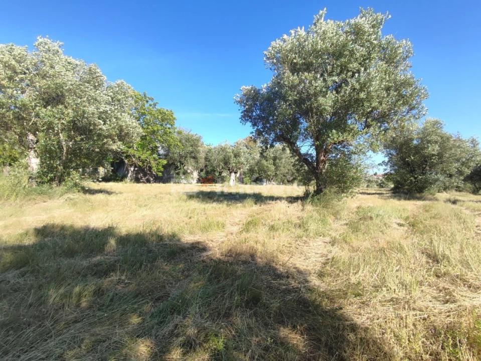 Terreno para Venda em Casais e Alviobeira Foto 33