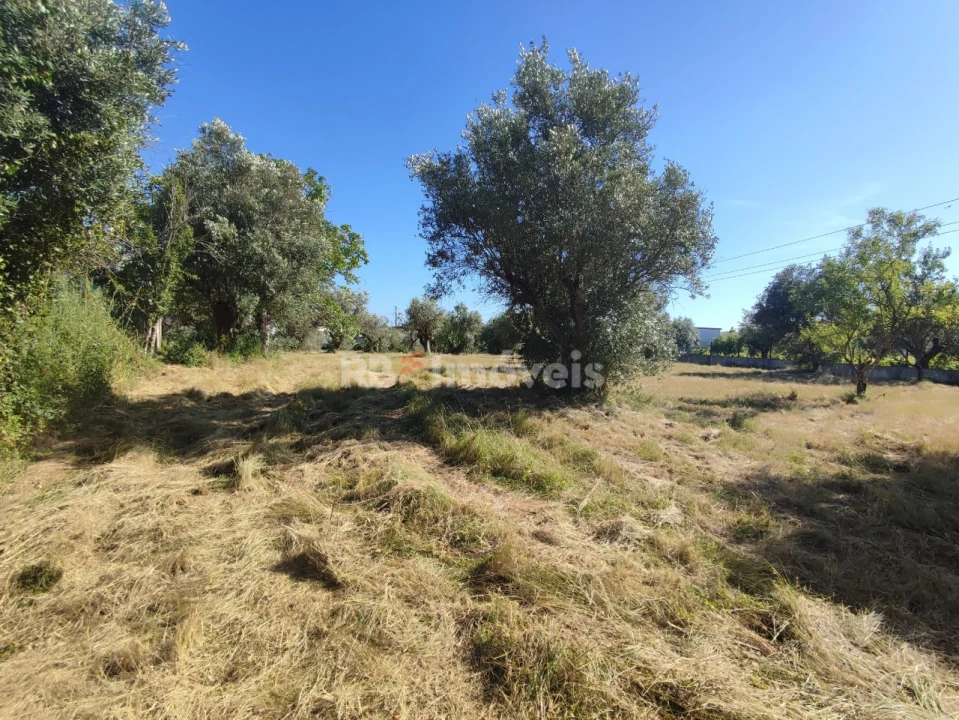 Terreno para Venda em Casais e Alviobeira Foto 38