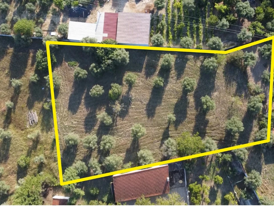 Terreno para Venda em Casais e Alviobeira Planta 9