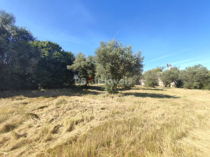 Terreno para Venda em Casais e Alviobeira Foto 8