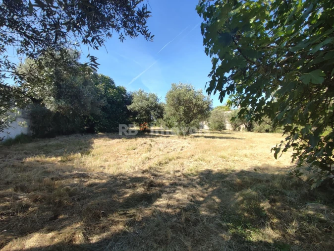 Terreno para Venda em Casais e Alviobeira Foto 5