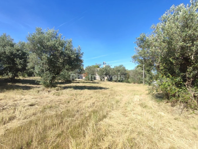 Terreno para Venda em Casais e Alviobeira Foto 9