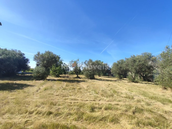 Terreno para Venda em Casais e Alviobeira Foto 13