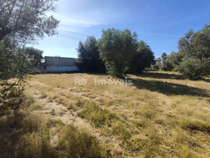 Terreno para Venda em Casais e Alviobeira Foto 14