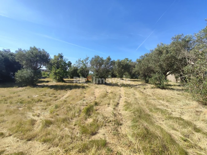 Terreno para Venda em Casais e Alviobeira Foto 15