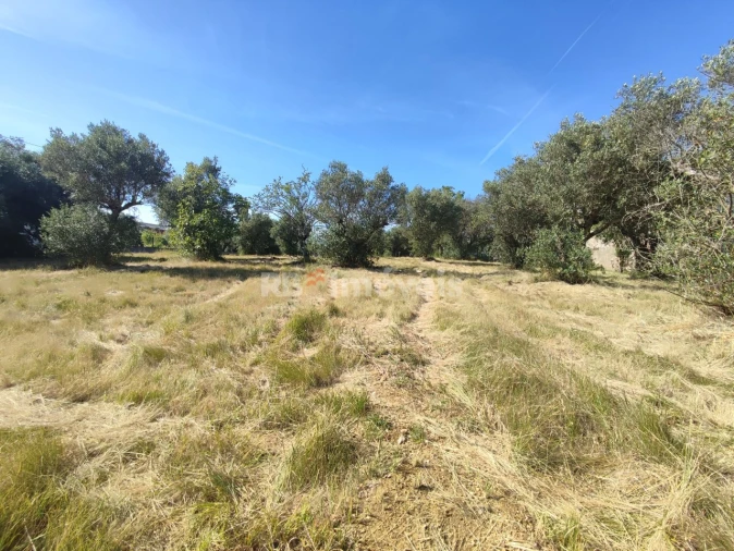 Terreno para Venda em Casais e Alviobeira Foto 17