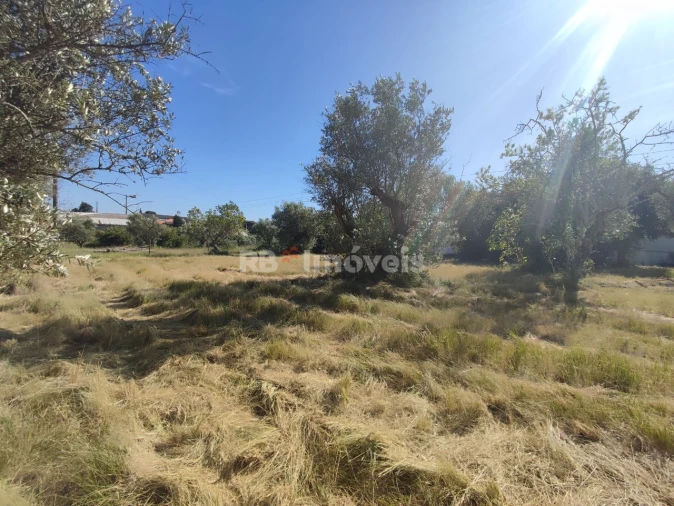 Terreno para Venda em Casais e Alviobeira Foto 22