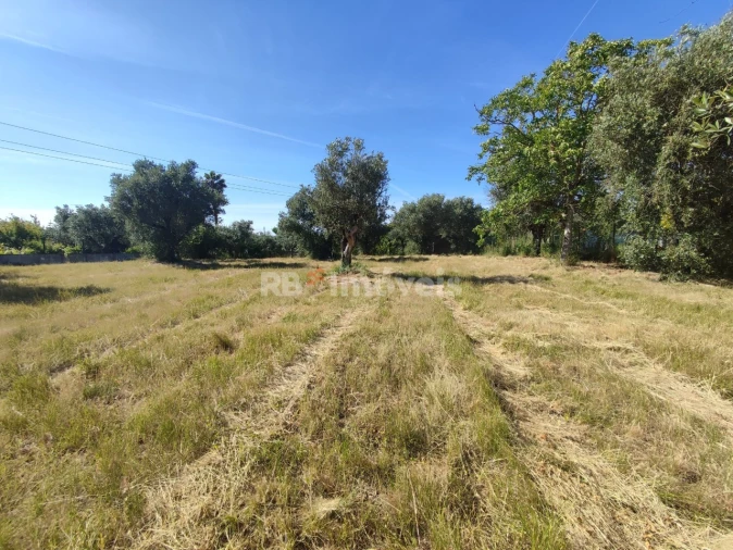 Terreno para Venda em Casais e Alviobeira Foto 23