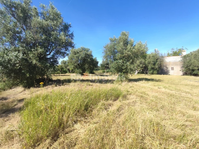 Terreno para Venda em Casais e Alviobeira Foto 24