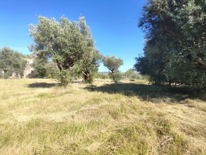 Terreno para Venda em Casais e Alviobeira Foto 25