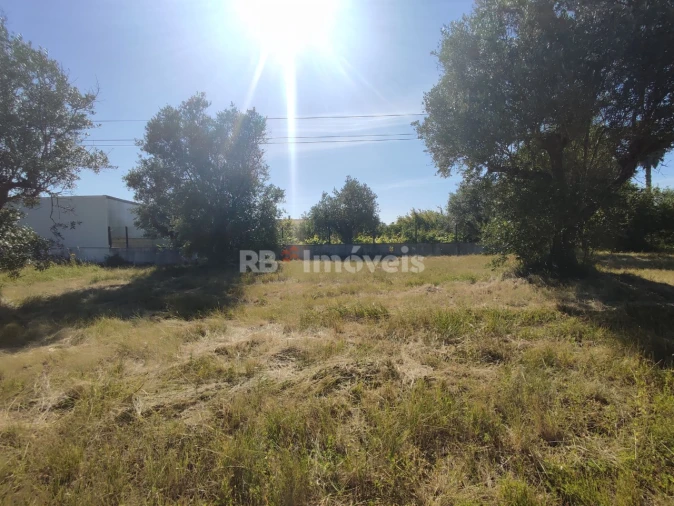 Terreno para Venda em Casais e Alviobeira Foto 30