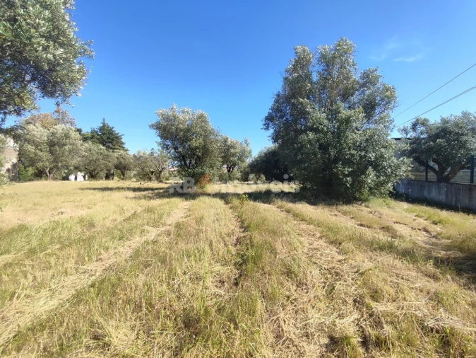 Terreno para Venda em Casais e Alviobeira Foto 32