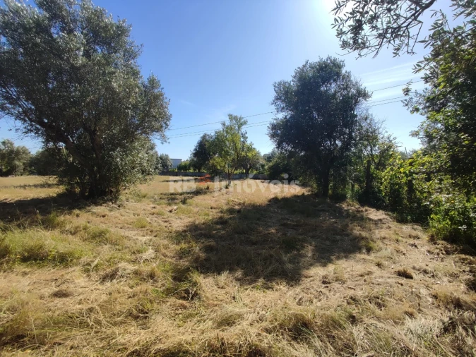 Terreno para Venda em Casais e Alviobeira Foto 37