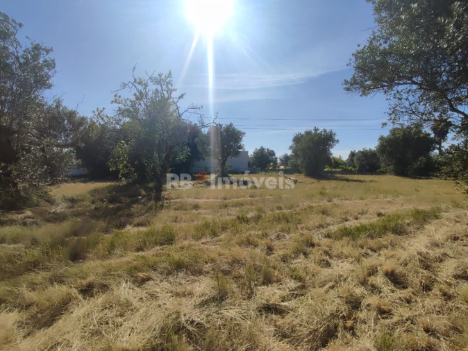 Terreno para Venda em Casais e Alviobeira Foto 39