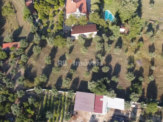 Terreno para Venda em Casais e Alviobeira Foto 4