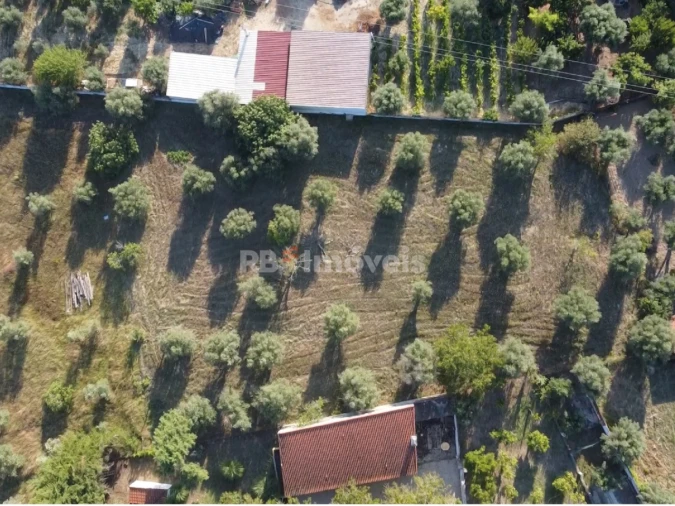 Terreno para Venda em Casais e Alviobeira Foto 7