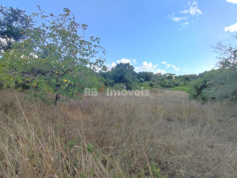 Terreno para Venda em Chãos Foto 7