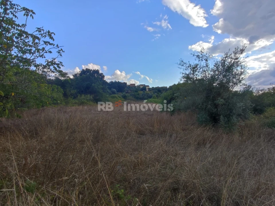 Terreno para Venda em Chãos Foto 9