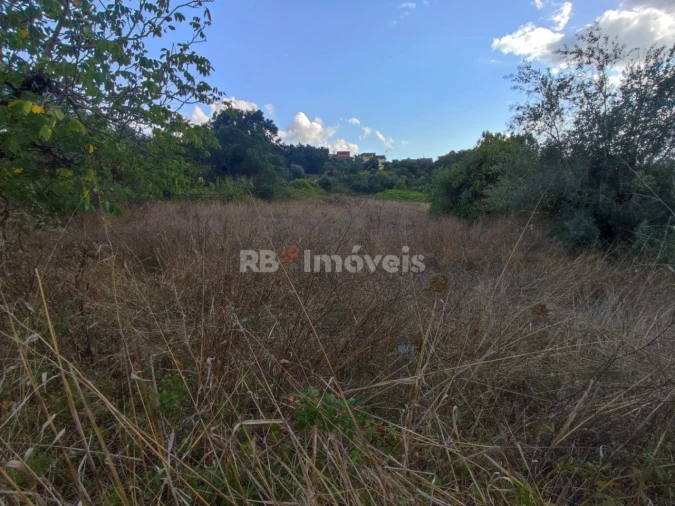 Terreno para Venda em Chãos Foto 3