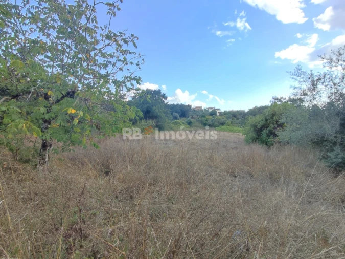 Terreno para Venda em Chãos Foto 2
