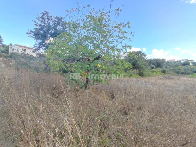 Terreno para Venda em Chãos Foto 6