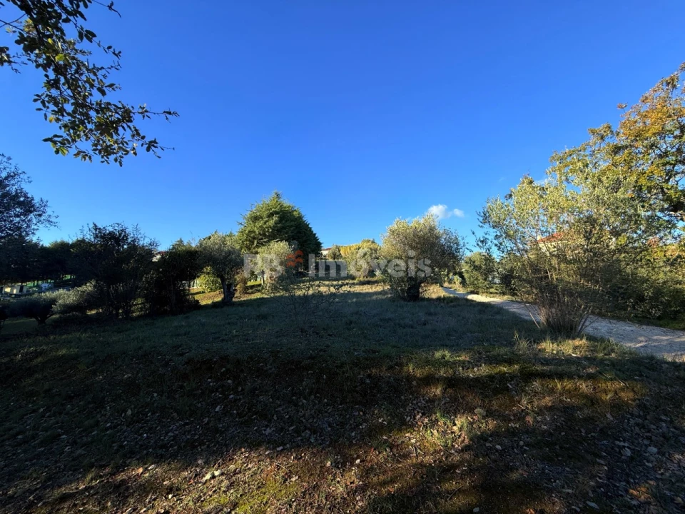 Terreno para Venda em Carregueiros Foto 4