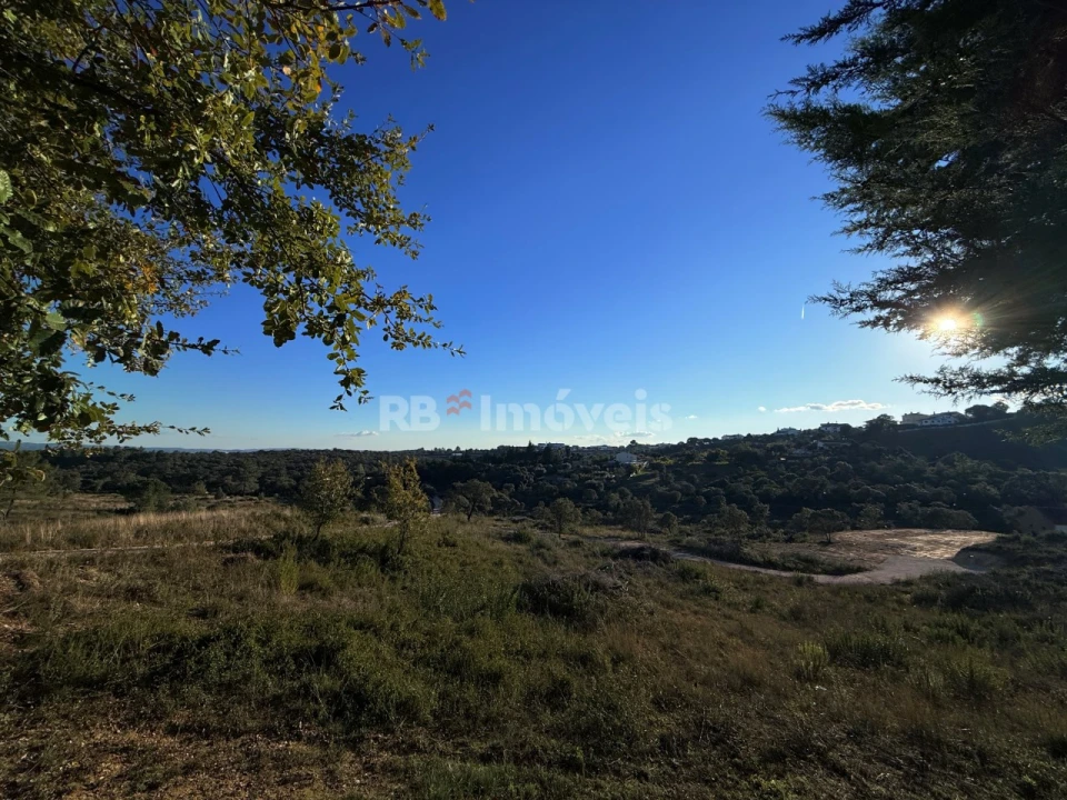 Terreno para Venda em Carregueiros Foto 5