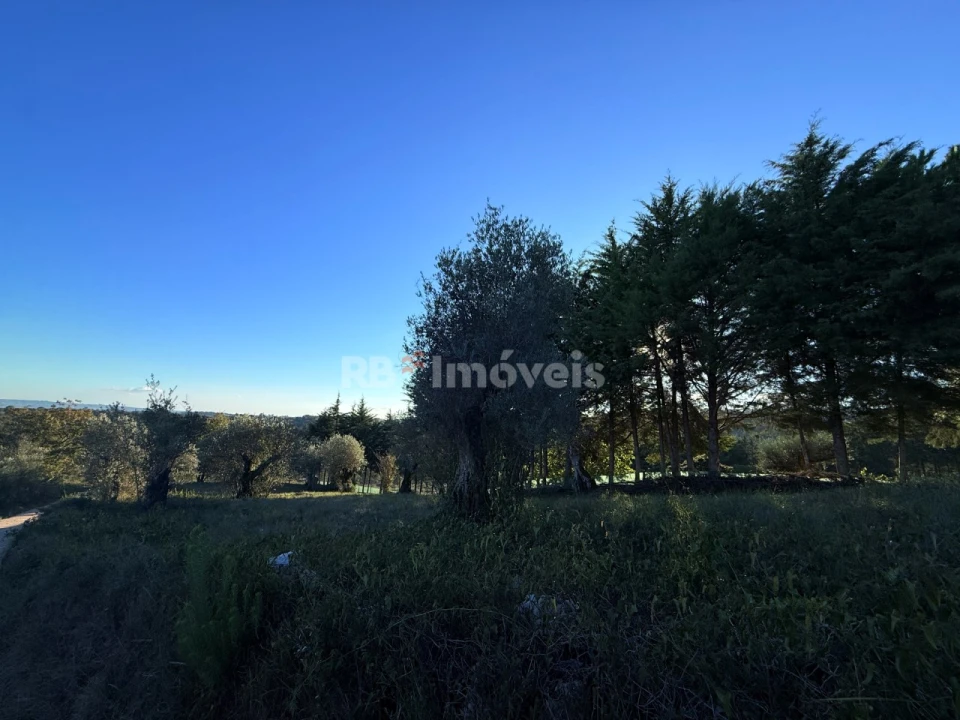 Terreno para Venda em Carregueiros Foto 12