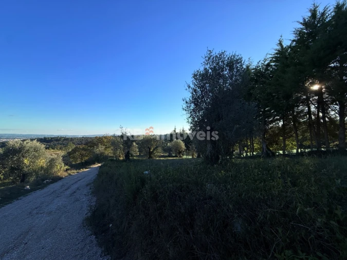 Terreno para Venda em Carregueiros Foto 7