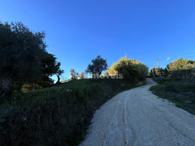 Terreno para Venda em Carregueiros Foto 10