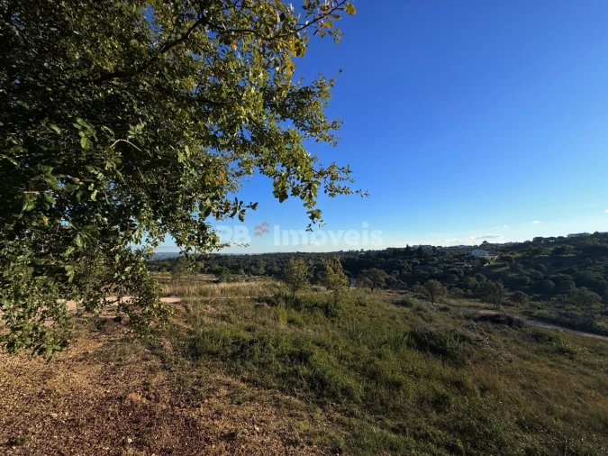 Terreno para Venda em Carregueiros Foto 11
