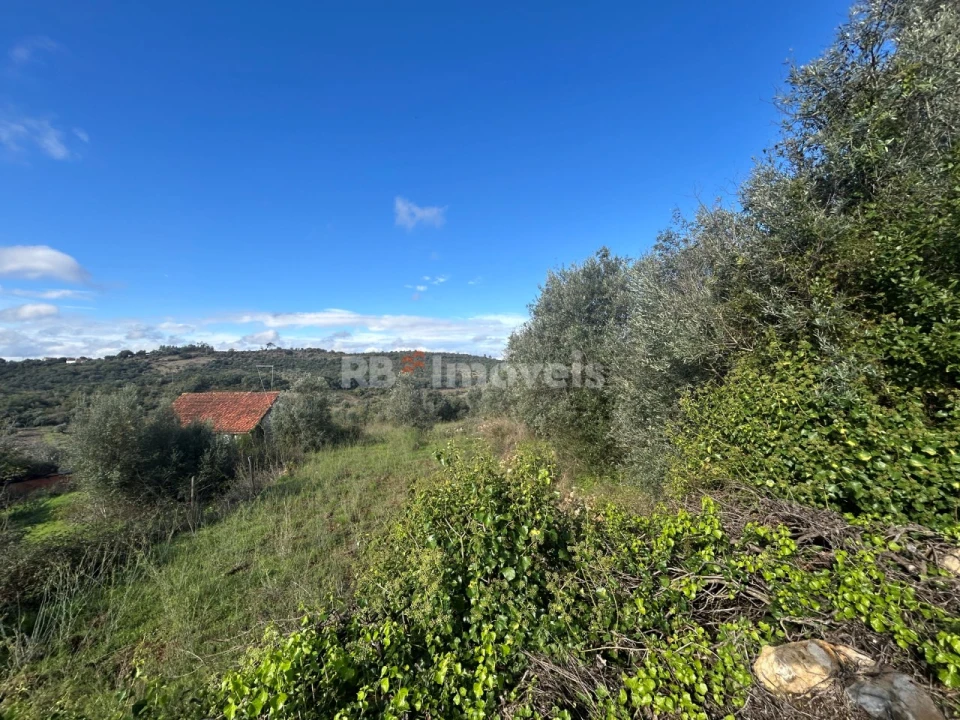 Terreno para Venda em Além da Ribeira e Pedreira Foto 7