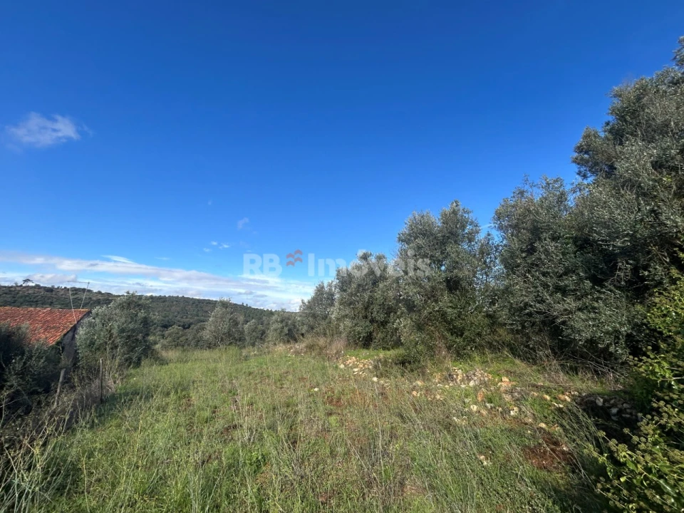 Terreno para Venda em Além da Ribeira e Pedreira Foto 6
