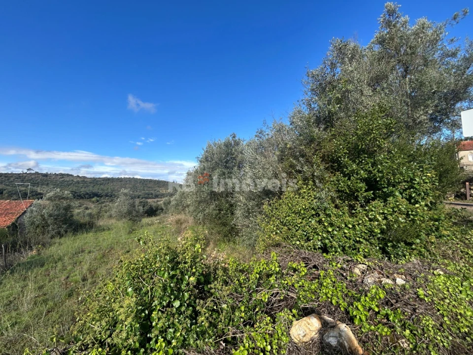 Terreno para Venda em Além da Ribeira e Pedreira Foto 10