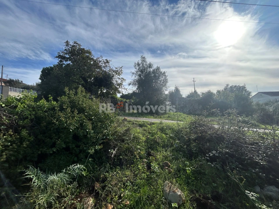 Terreno para Venda em Além da Ribeira e Pedreira Foto 9