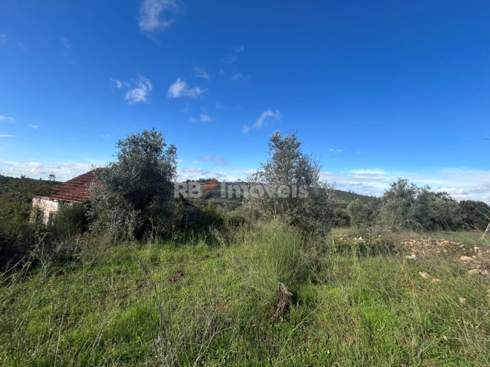 Terreno para Venda em Além da Ribeira e Pedreira Foto 13