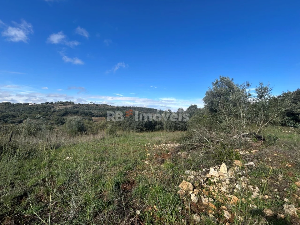 Terreno para Venda em Além da Ribeira e Pedreira Foto 20