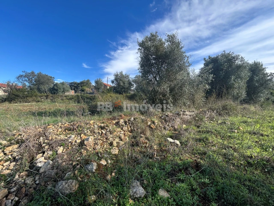 Terreno para Venda em Além da Ribeira e Pedreira Foto 21