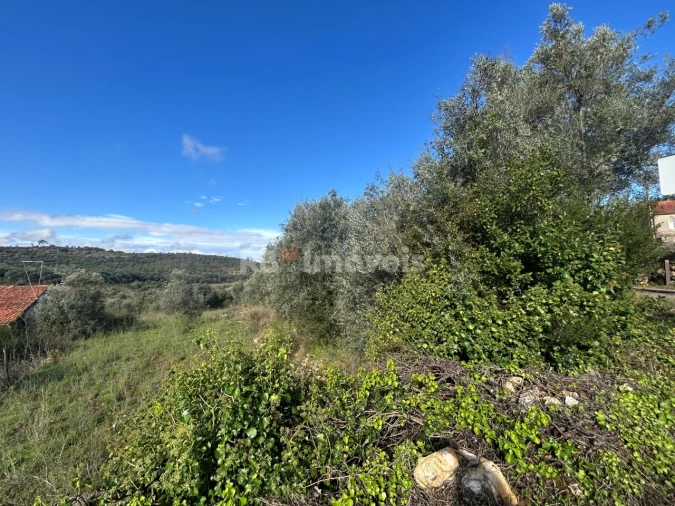 Terreno para Venda em Além da Ribeira e Pedreira Foto 10