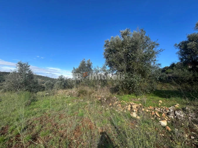 Terreno para Venda em Além da Ribeira e Pedreira Foto 11