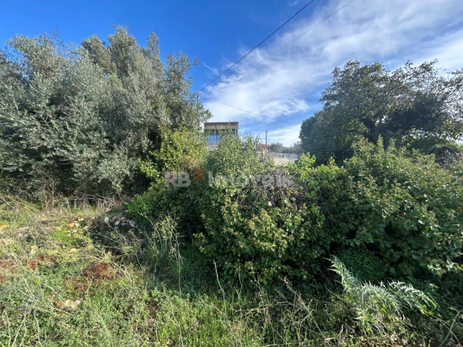 Terreno para Venda em Além da Ribeira e Pedreira Foto 4