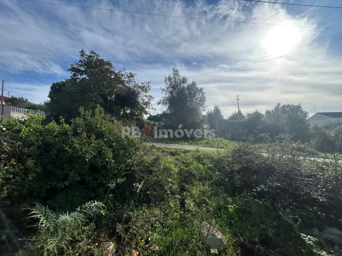 Terreno para Venda em Além da Ribeira e Pedreira Foto 9