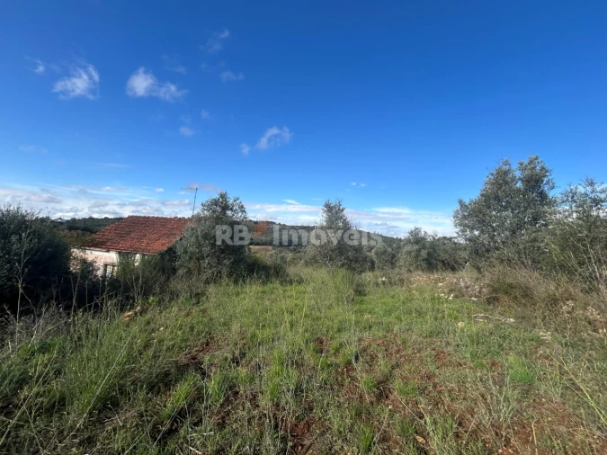 Terreno para Venda em Além da Ribeira e Pedreira Foto 12