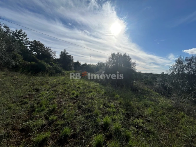 Terreno para Venda em Além da Ribeira e Pedreira Foto 14