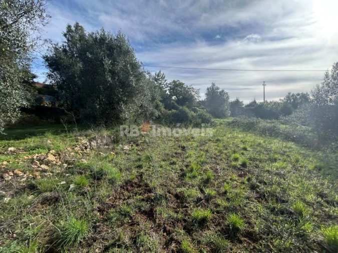 Terreno para Venda em Além da Ribeira e Pedreira Foto 15