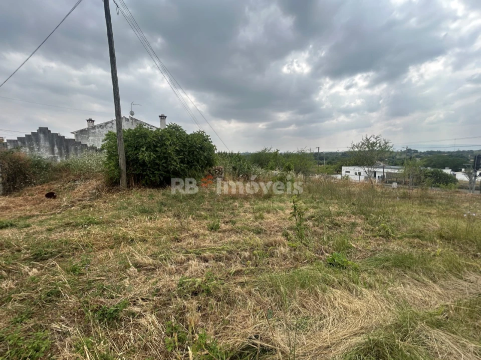 Terreno para Venda em Paialvo Foto 9