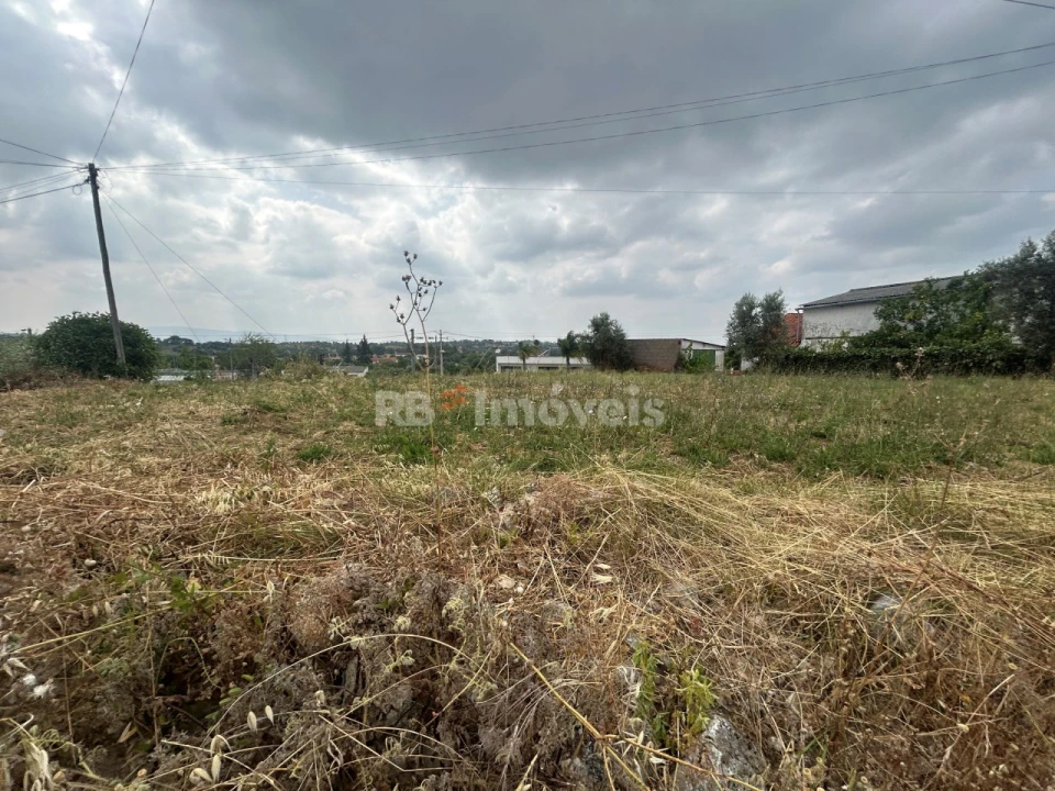 Terreno para Venda em Paialvo Foto 18