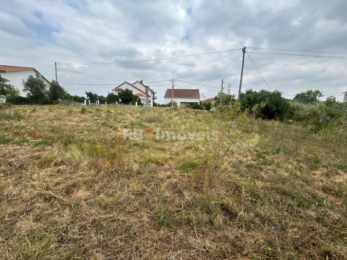 Terreno para Venda em Paialvo Foto 5