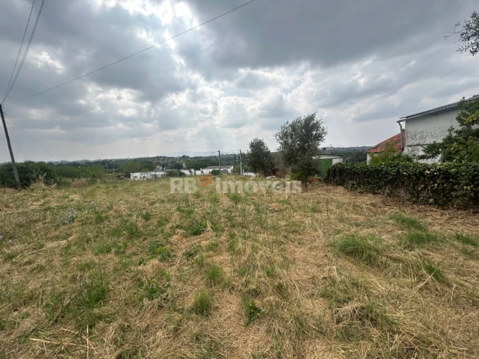 Terreno para Venda em Paialvo Foto 14