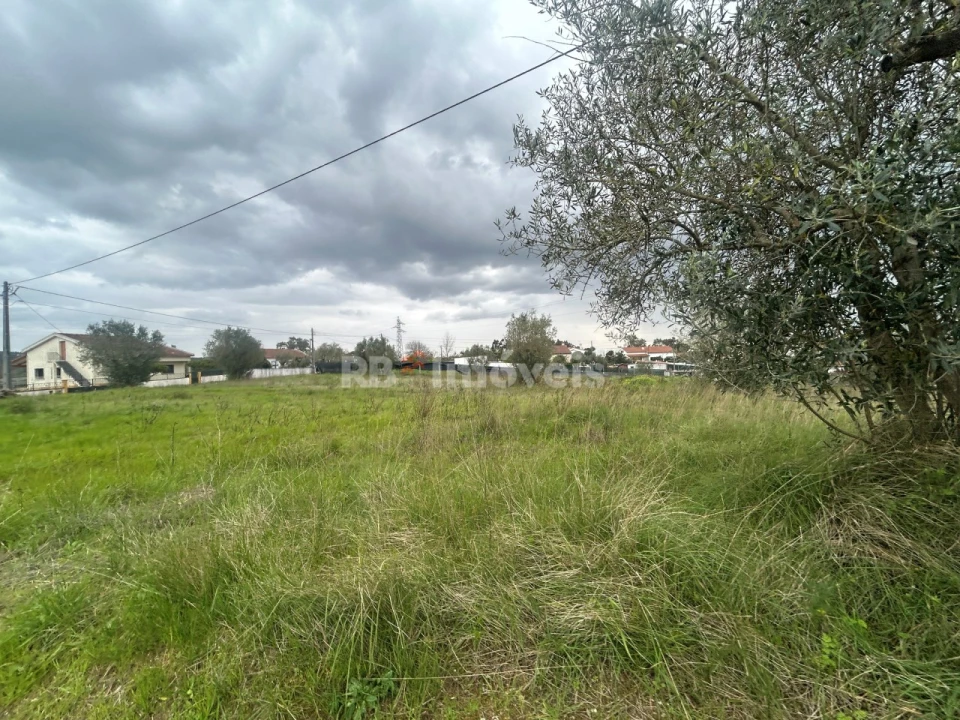 Terreno para Venda em Casais e Alviobeira Foto 38